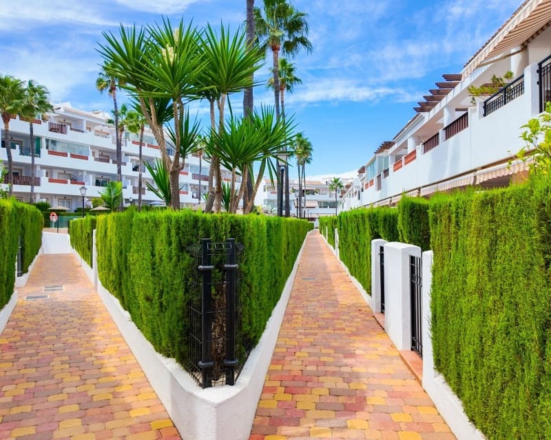 2 soveværelse Lejlighed til salg i Villamartin med swimmingpool - € 269.000 (Ref: 10167395)