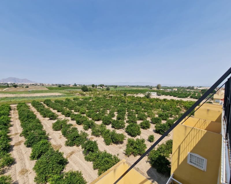 2 sovrum Lägenhet till salu i Daya Nueva med pool - 119 500 € (Ref: 9187709)