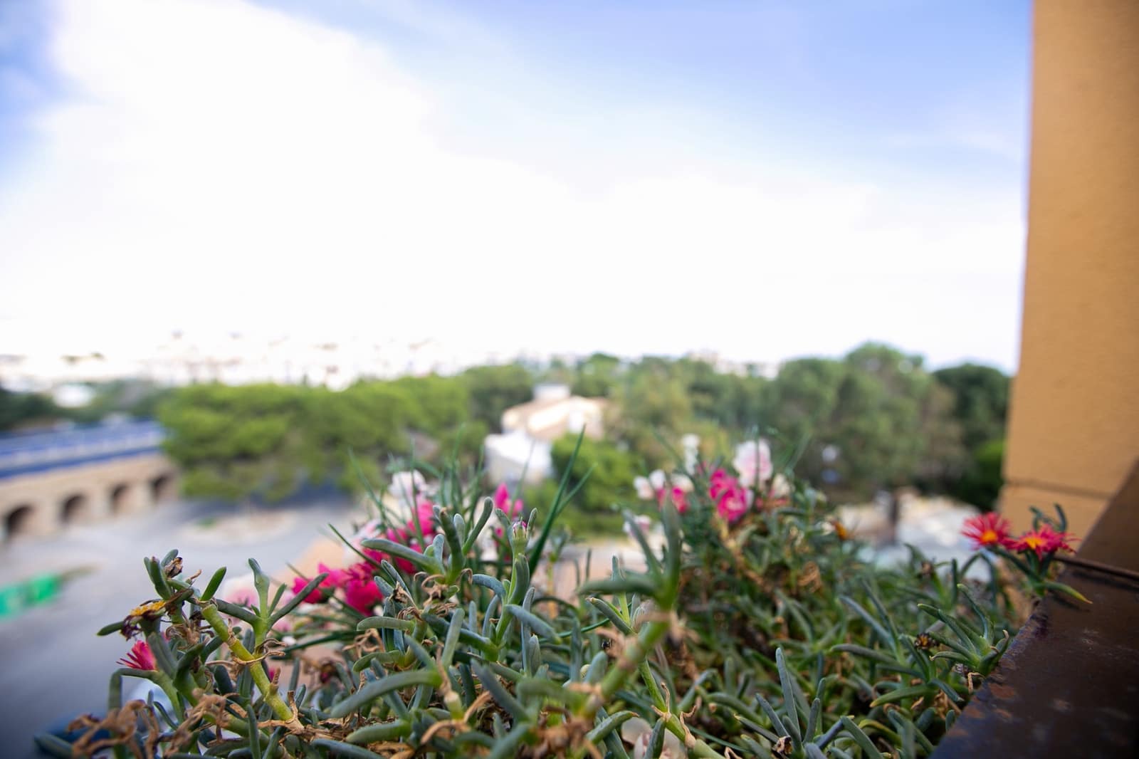 2 chambre Appartement à vendre à La Zenia avec piscine - 198 000 € (Ref: 9385379)