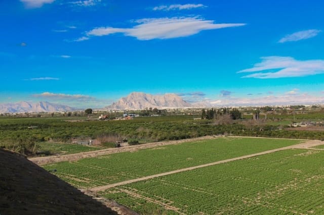 1 slaapkamer Appartement te koop in Algorfa met zwembad - € 75.000 (Ref: 9422194)