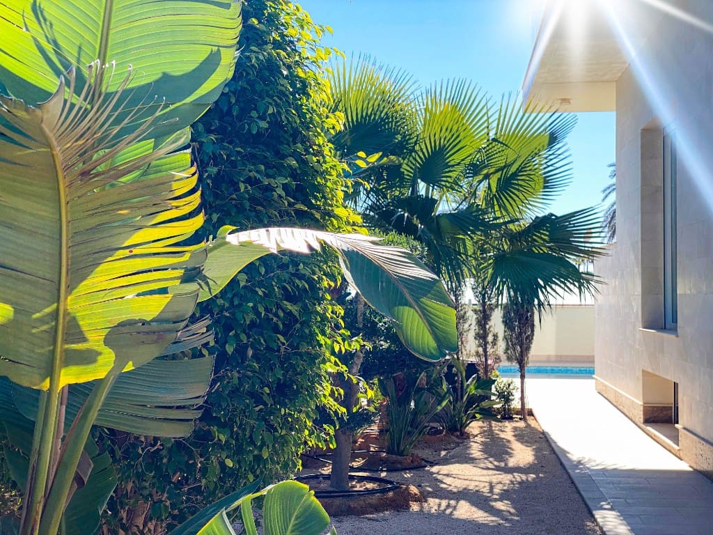 4 slaapkamer Villa te koop in La Zenia met zwembad - € 1.500.000 (Ref: 9440333)