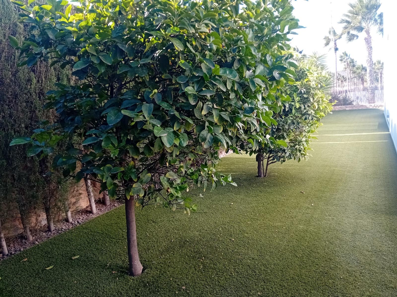 4 Zimmer Villa zu verkaufen in Algorfa mit Pool - 850.000 € (Ref: 9451989)