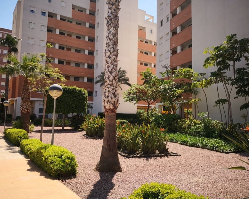3 quarto Apartamento para venda em Guardamar del Segura com piscina - 239 000 € (Ref: 9498899)