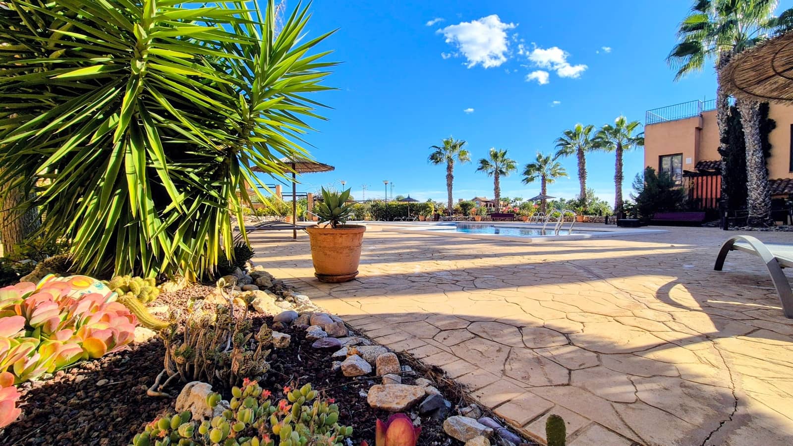 2 bedroom Apartment for sale in Villamartin with pool - € 235,000 (Ref: 9503969)