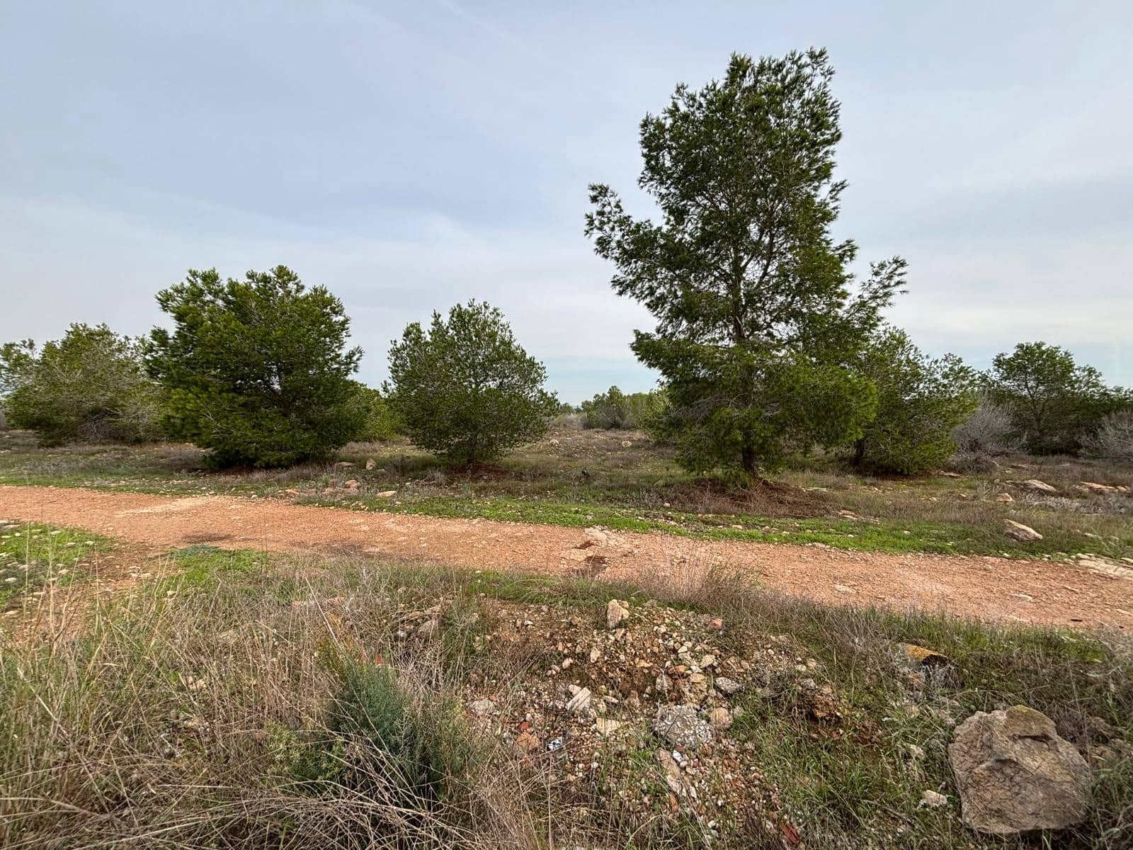 2 sovrum Lägenhet till salu i La Siesta med pool - 120 000 € (Ref: 9524104)