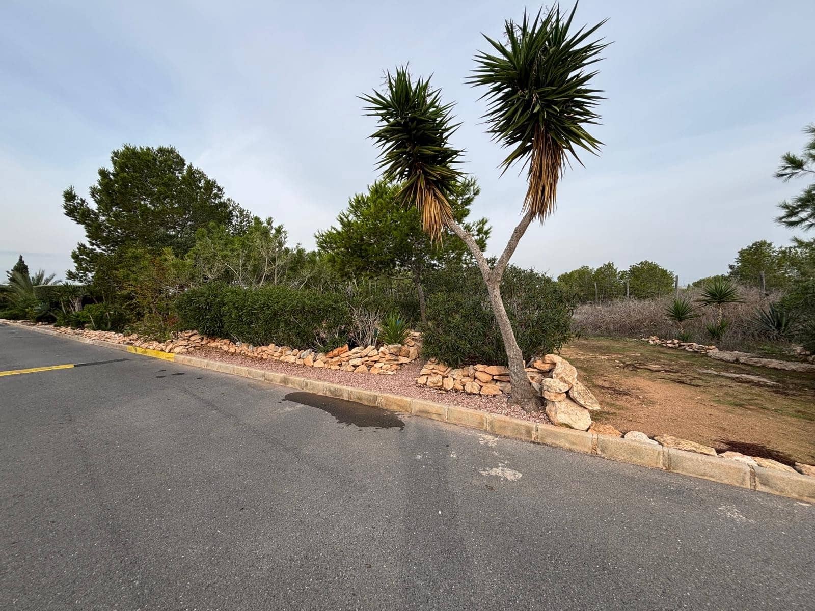 2 slaapkamer Appartement te koop in La Siesta met zwembad - € 120.000 (Ref: 9552054)