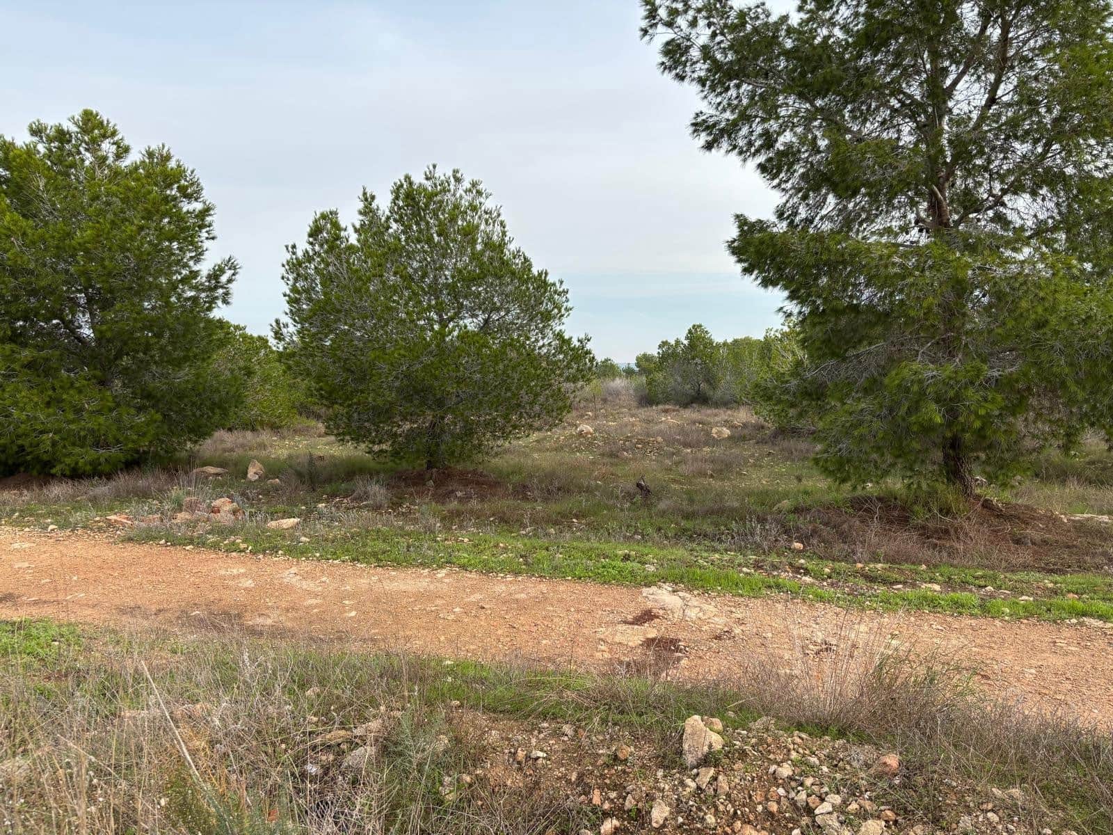 2 slaapkamer Appartement te koop in La Siesta met zwembad - € 120.000 (Ref: 9552054)