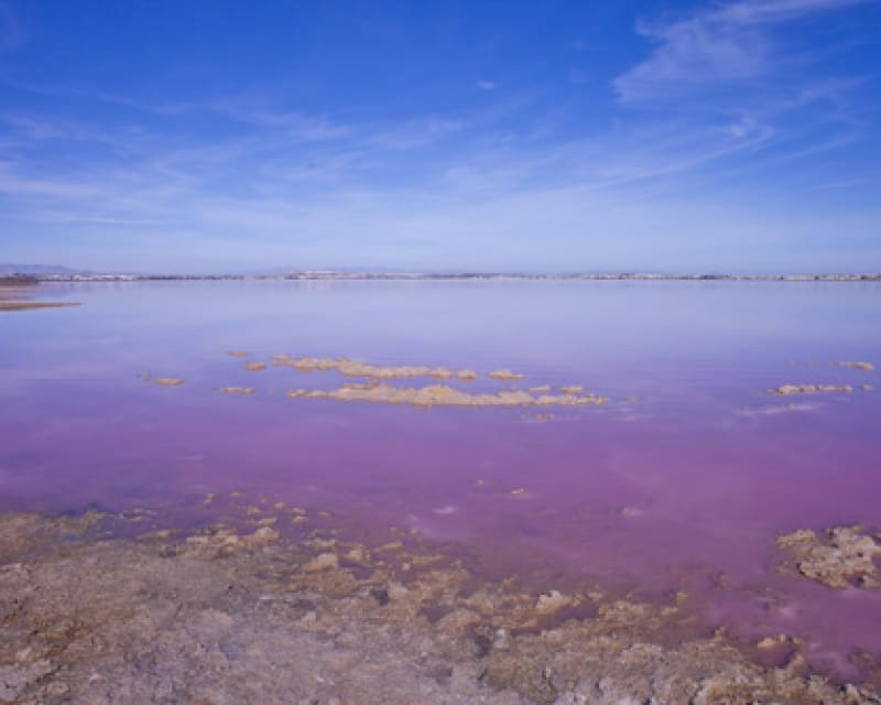 2 soveværelse Villa til salg i Los Altos med swimmingpool - € 290.000 (Ref: 9552070)