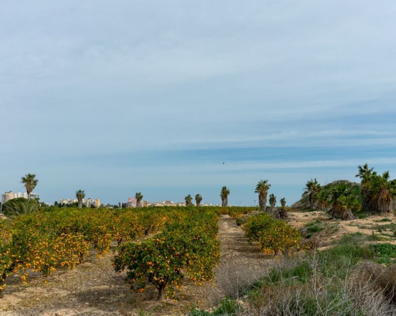 2 soveværelse Villa til salg i Los Altos med swimmingpool - € 290.000 (Ref: 9552070)