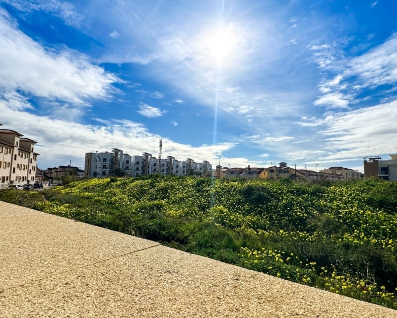 2 makuuhuone Huvila myytävänä paikassa Playa Flamenca mukana uima-altaan - 339 000 € (Ref: 9552086)