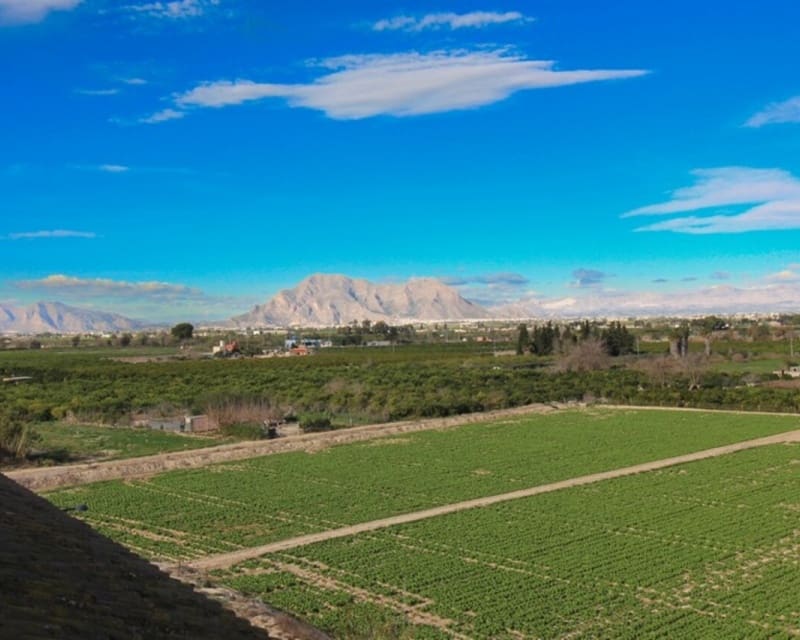 1 makuuhuone Huoneisto myytävänä paikassa Algorfa mukana uima-altaan - 75 000 € (Ref: 9552199)