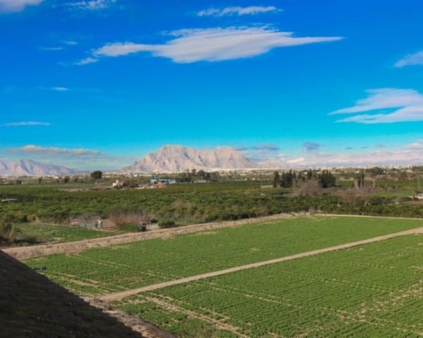 1 Zimmer Apartment zu verkaufen in Algorfa mit Pool - 75.000 € (Ref: 9552199)