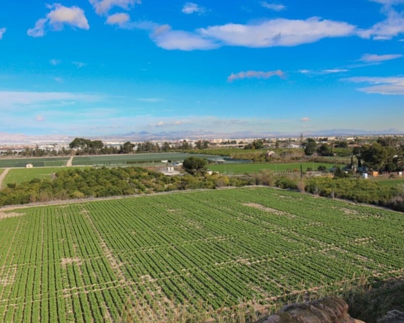 1 makuuhuone Huoneisto myytävänä paikassa Algorfa mukana uima-altaan - 75 000 € (Ref: 9552199)