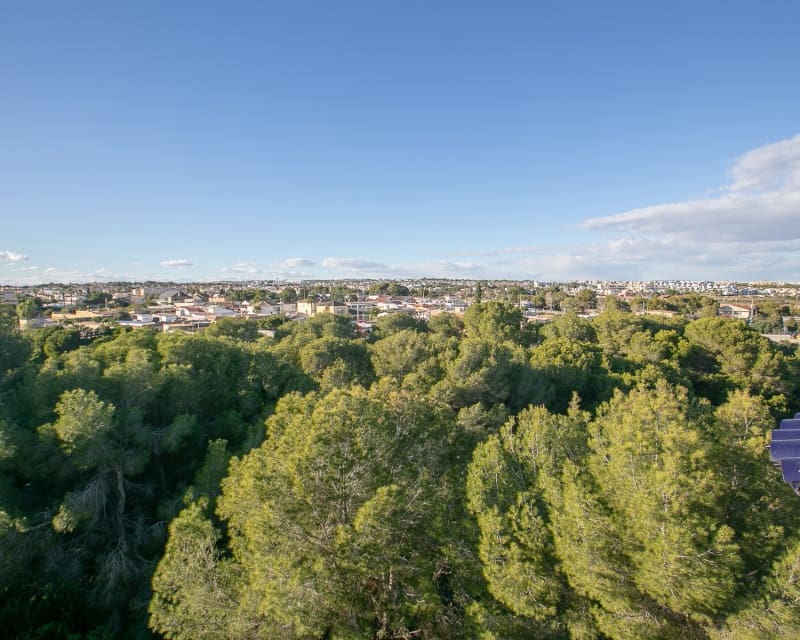 2 soverom Leilighet til salgs i Cabo Roig med svømmebasseng - € 174 900 (Ref: 9626761)