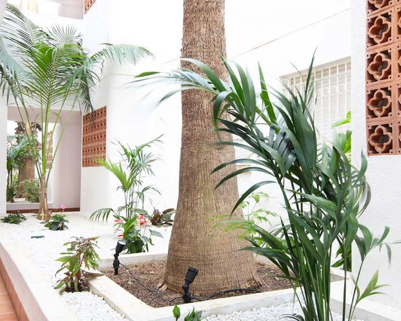 2 soverom Leilighet til salgs i Villamartin med svømmebasseng - € 229 900 (Ref: 9626784)