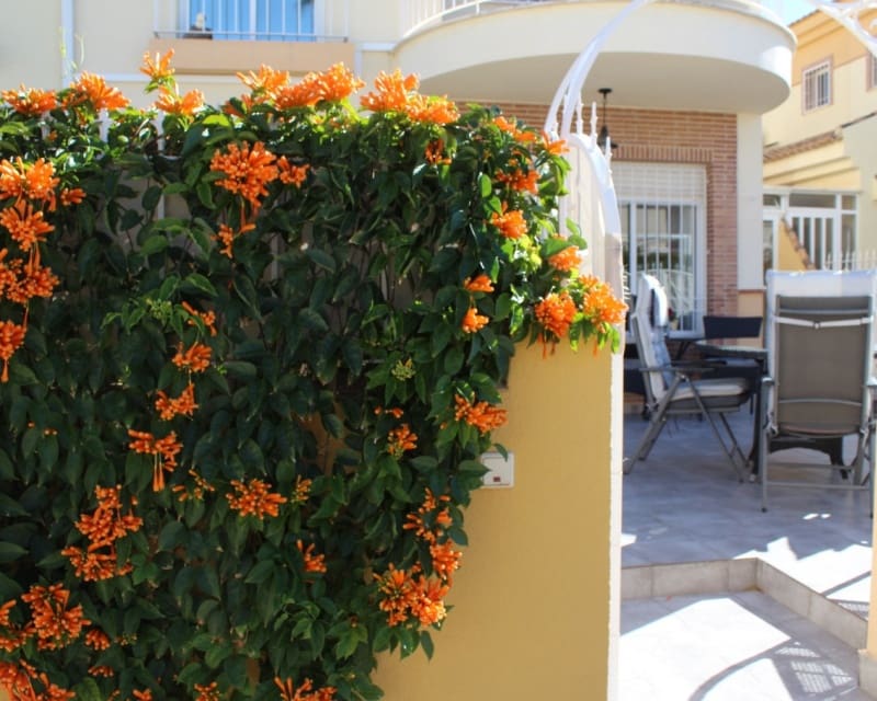 3 quarto Moradia para venda em Villamartin com piscina - 239 000 € (Ref: 9640915)