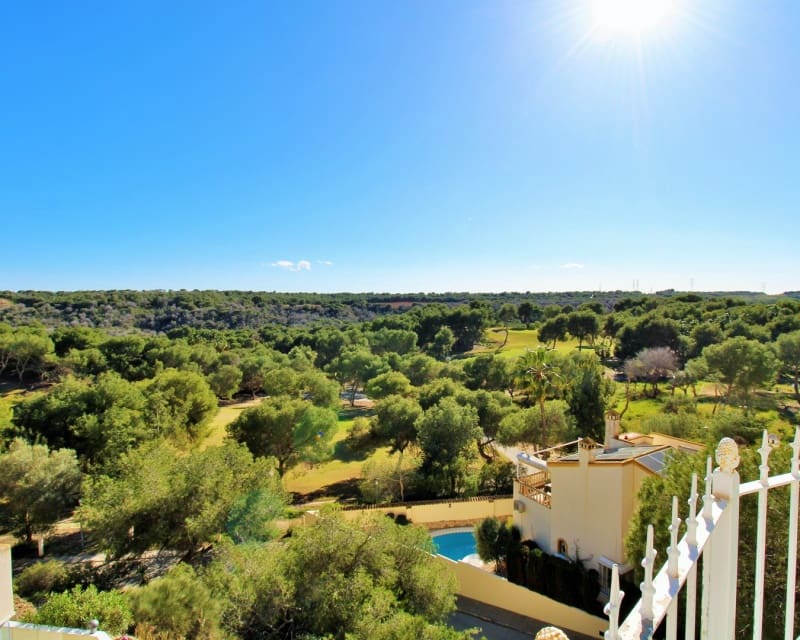 2 Zimmer Apartment zu verkaufen in Villamartin mit Pool - 199.900 € (Ref: 9640917)