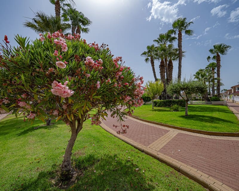 2 bedroom Apartment for sale in Playa Flamenca with pool - € 189,900 (Ref: 9699939)