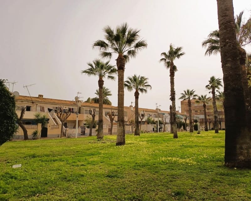 1 bedroom Apartment for sale in Cabo Roig - € 114,000 (Ref: 9699947)