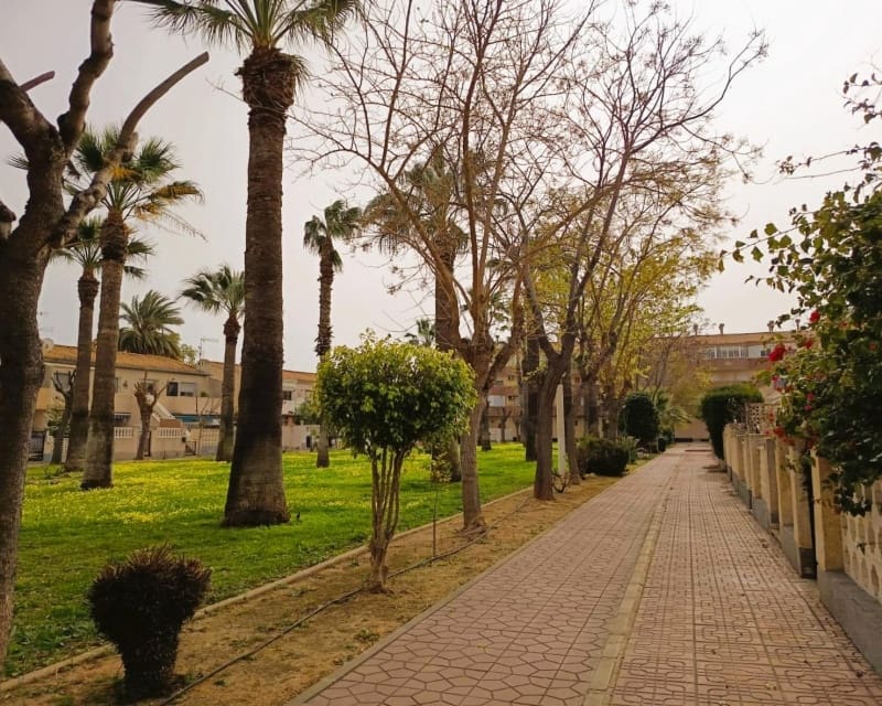 1 bedroom Apartment for sale in Cabo Roig - € 114,000 (Ref: 9699947)