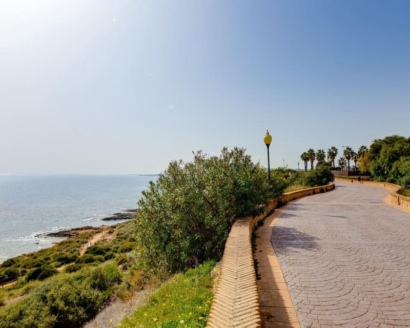 2 sypialnia Dom na sprzedaż w Cabo Roig z basenem - 349 000 € (Ref: 9724916)