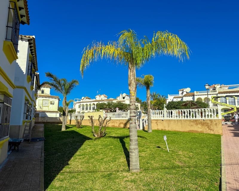 1 bedroom Apartment for sale in Villamartin with pool - € 115,000 (Ref: 9724955)