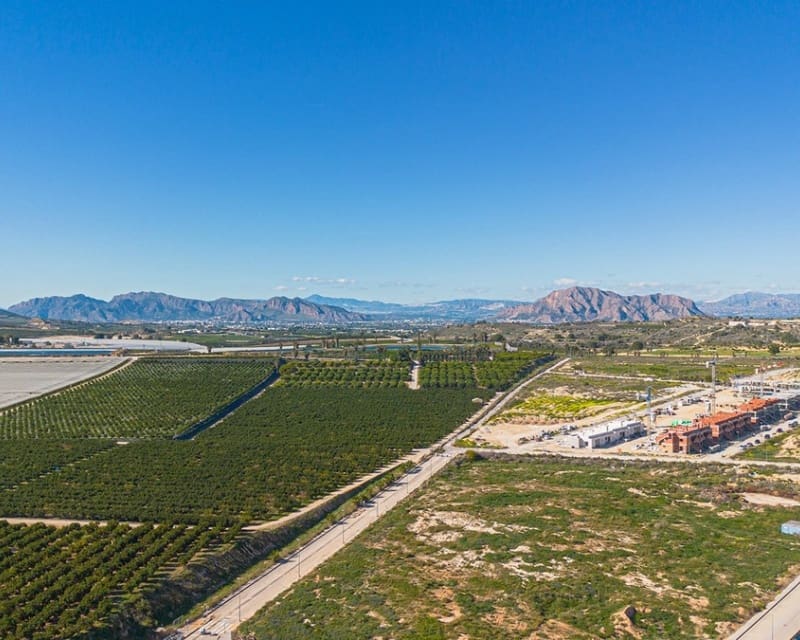 3 chambre Villa/Maison à vendre à Los Montesinos avec piscine - 379 000 € (Ref: 9725081)