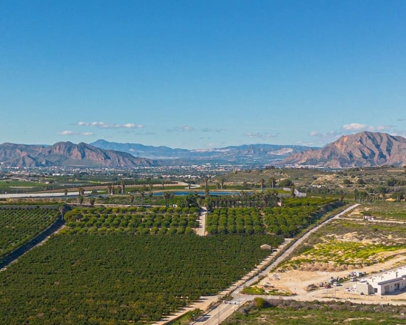 3 chambre Villa/Maison à vendre à Los Montesinos avec piscine - 379 000 € (Ref: 9725081)