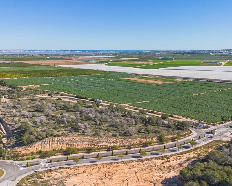 3 chambre Villa/Maison à vendre à Los Montesinos avec piscine - 379 000 € (Ref: 9725081)