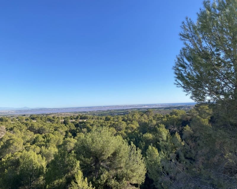 5 bedroom Villa for sale in Dehesa de Campoamor - € 849,000 (Ref: 9725088)