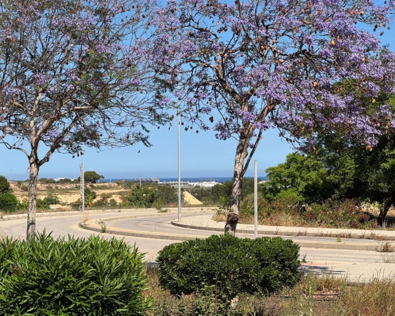 2 bedroom Apartment for sale in Cabo Roig with pool - € 169,000 (Ref: 9725096)