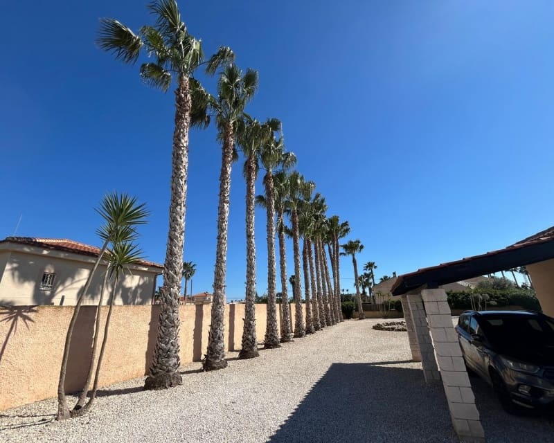 5 sypialnia Willa na sprzedaż w Catral z basenem - 449 995 € (Ref: 9784371)