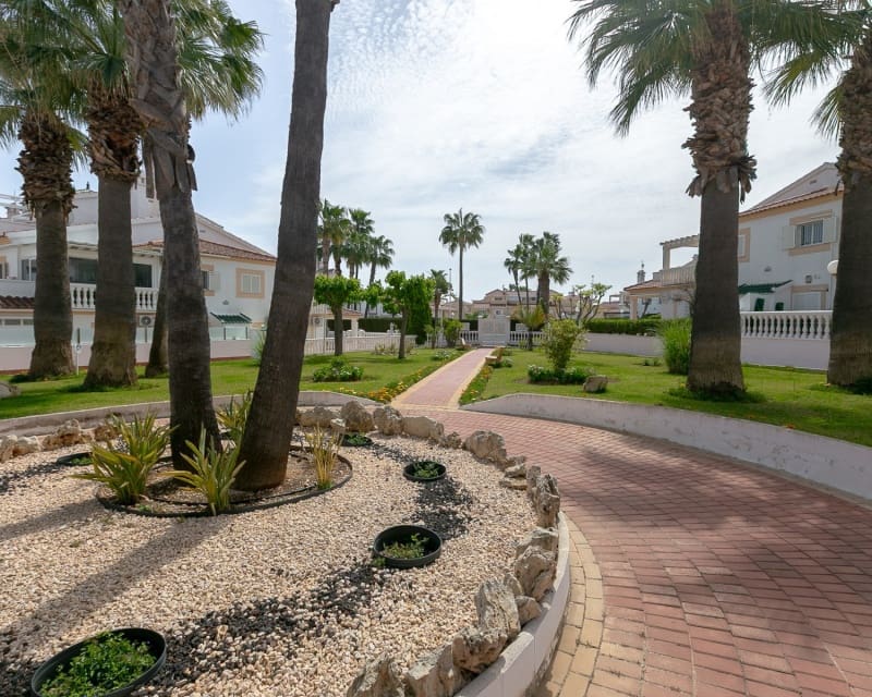 3 sypialnia Apartament na sprzedaż w Playa Flamenca z basenem - 219 000 € (Ref: 9789921)