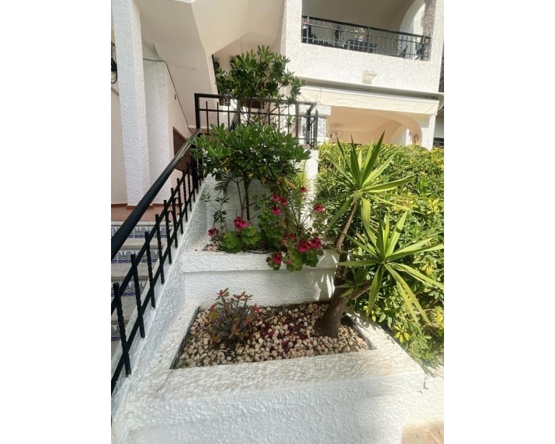 2 bedroom Apartment for sale in Cabo Roig with pool - € 205,000 (Ref: 9802569)