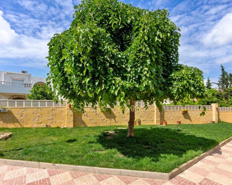 1 soveværelse Lejlighed til salg i El Chaparral med swimmingpool - € 119.000 (Ref: 9802766)