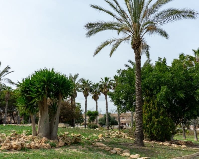 2 bedroom Villa for sale in Los Altos with pool - € 290,000 (Ref: 9806934)