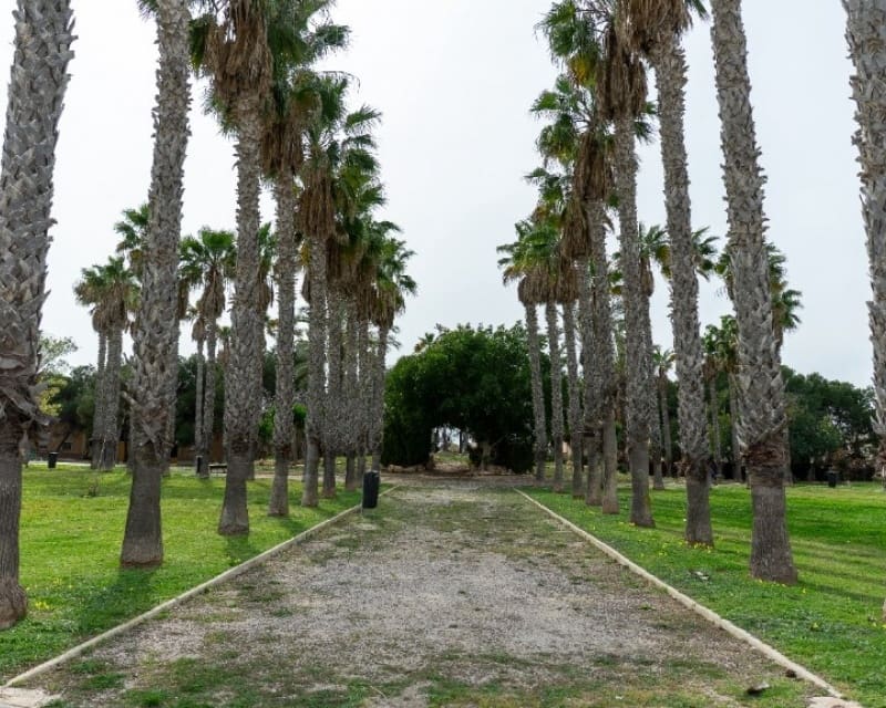 2 bedroom Villa for sale in Los Altos with pool - € 290,000 (Ref: 9806934)