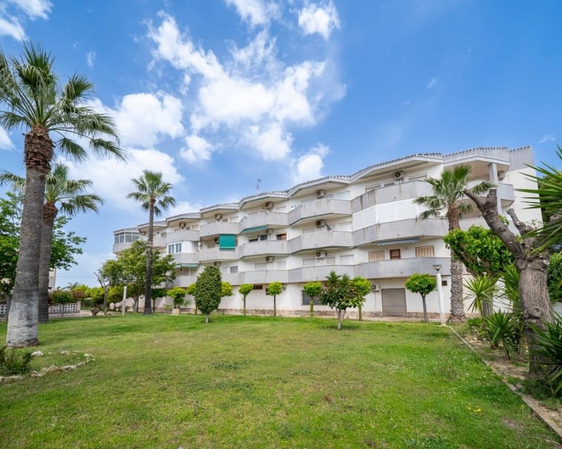Apartamento de 1 habitación en Cabo Roig en venta - 149.000 € (Ref: 9809371)