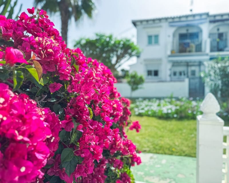 1 Zimmer Apartment zu verkaufen in Los Balcones mit Pool - 125.000 € (Ref: 9809375)