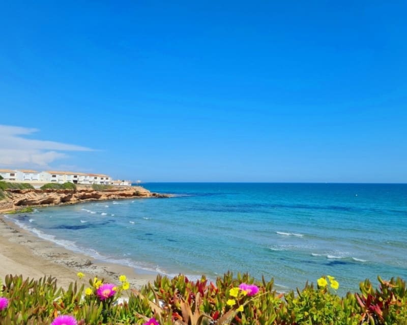 3 quarto Moradia para venda em Villamartin com piscina - 285 000 € (Ref: 9827746)