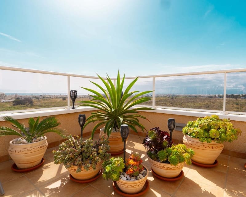 3 slaapkamer Appartement te koop in Villamartin met zwembad - € 360.000 (Ref: 9827753)