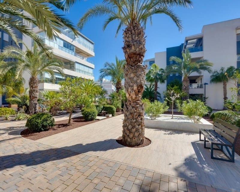 3 Zimmer Apartment zu verkaufen in Villamartin mit Pool - 299.000 € (Ref: 9827761)