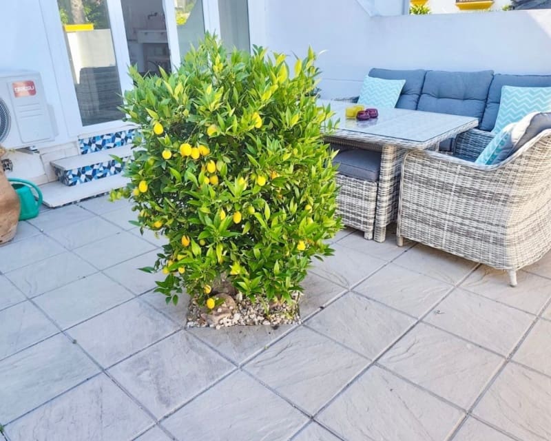 3 bedroom Bungalow for sale in Villamartin with pool - € 279,995 (Ref: 9860770)