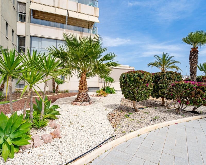 2 soveværelse Lejlighed til salg i Villamartin med swimmingpool - € 275.000 (Ref: 9895494)
