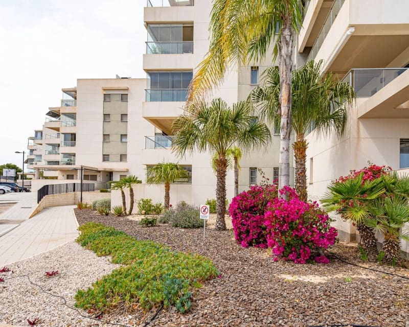 2 soveværelse Lejlighed til salg i Villamartin med swimmingpool - € 275.000 (Ref: 9895494)