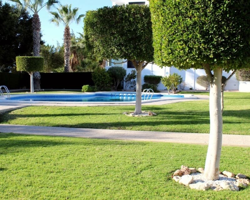 3 soveværelse Lejlighed til salg i Villamartin med swimmingpool - € 249.000 (Ref: 9895500)