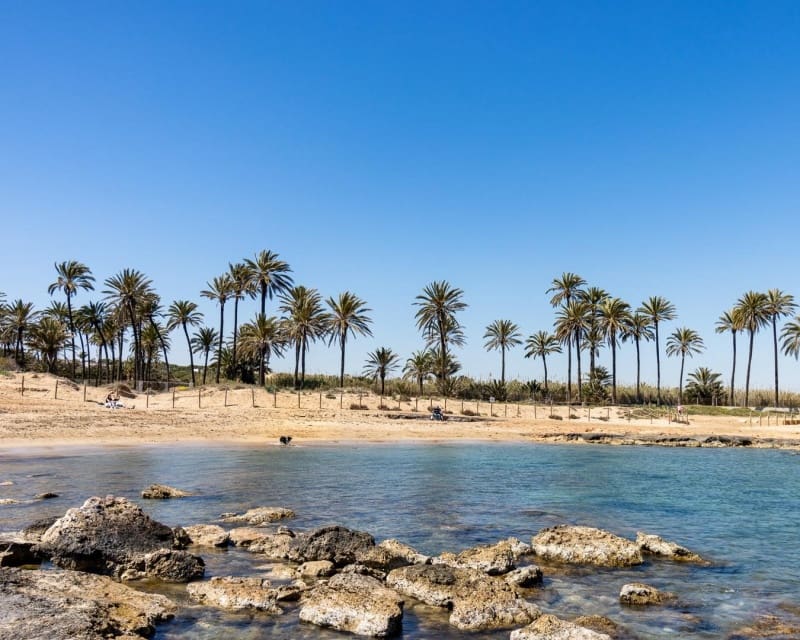 Apartamento de 2 habitaciones en Torrevieja en venta con piscina - 139.500 € (Ref: 9895511)