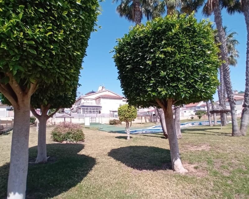 2 bedroom Apartment for sale in Playa Flamenca with pool - € 190,000 (Ref: 9926425)