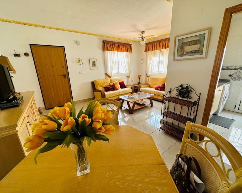 3 Zimmer Villa zu verkaufen in Los Montesinos mit Pool - 179.000 € (Ref: 9926435)