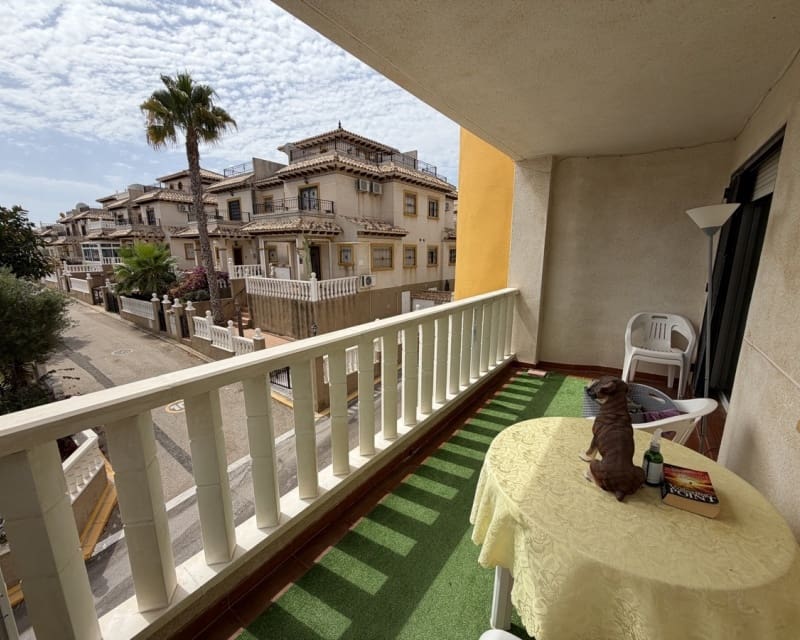 2 Zimmer Apartment zu verkaufen in Villamartin mit Pool - 159.995 € (Ref: 9966874)
